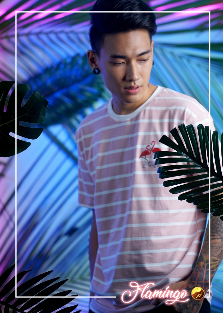 Flamingos Stripe Loose Fit T-shirt